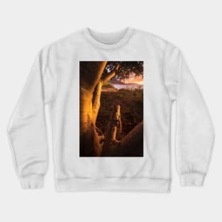 Side Light Crewneck Sweatshirt